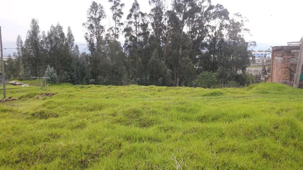Oportunidad Para Constructores, Terreno en Venta, Alangasí - Los Chillos — imagen 6