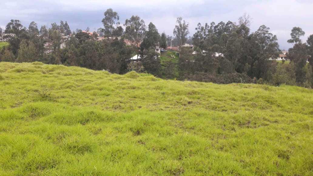 Oportunidad Para Constructores, Terreno en Venta, Alangasí - Los Chillos — imagen 5