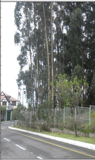 Terreno Premium en Venta en Campo Alegre | 3.197 m² — imagen 7