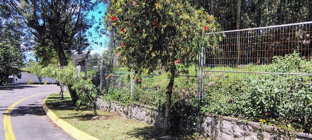Terreno Premium en Venta en Urbanizaicón Privada| 2706 m² — imagen 6