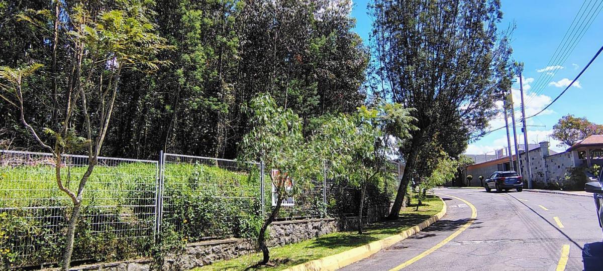 Terreno Premium en Venta en Urbanizaicón Privada| 2706 m² — imagen 3