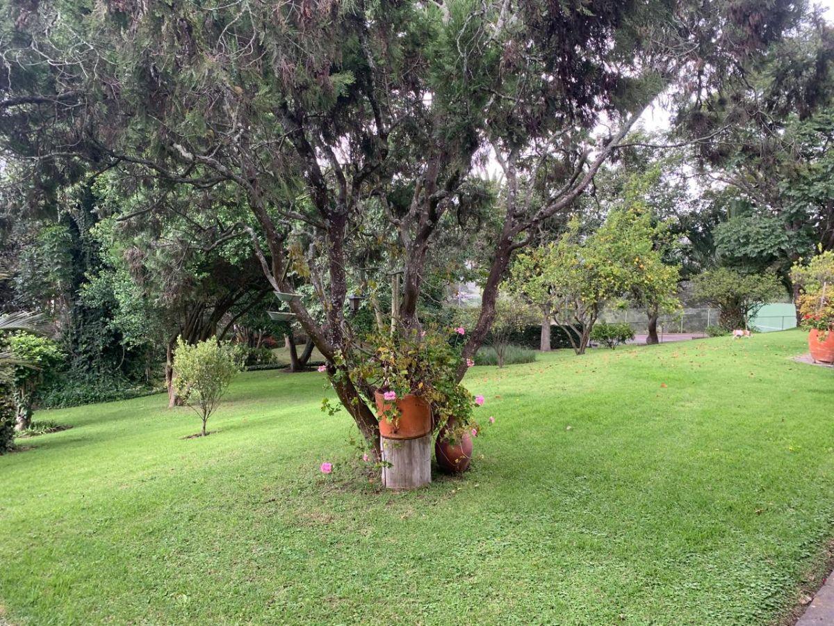 Venta Terreno de 12000 m² Para Proyecto Inmobiliario (Mitad del Mundo) — imagen 9