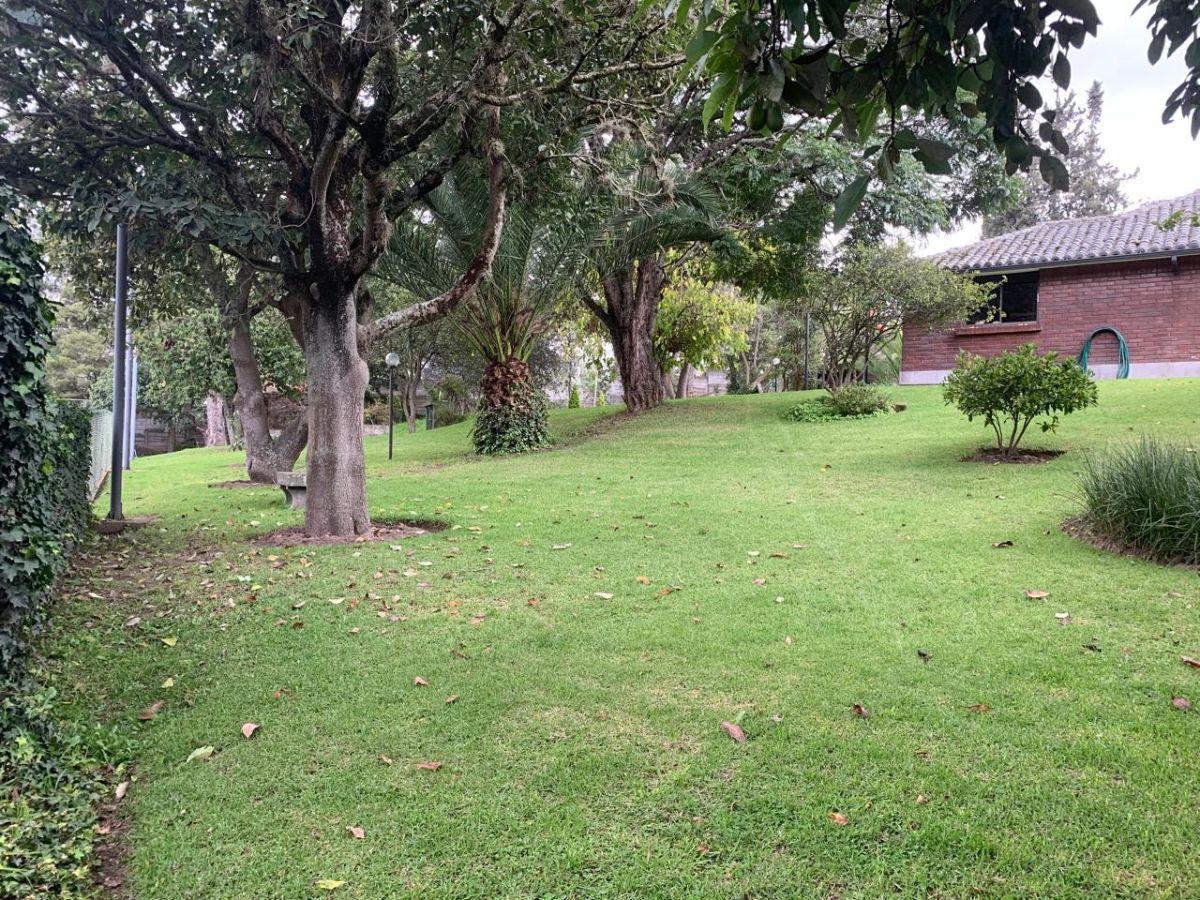 Venta Terreno de 12000 m² Para Proyecto Inmobiliario (Mitad del Mundo) — imagen 8