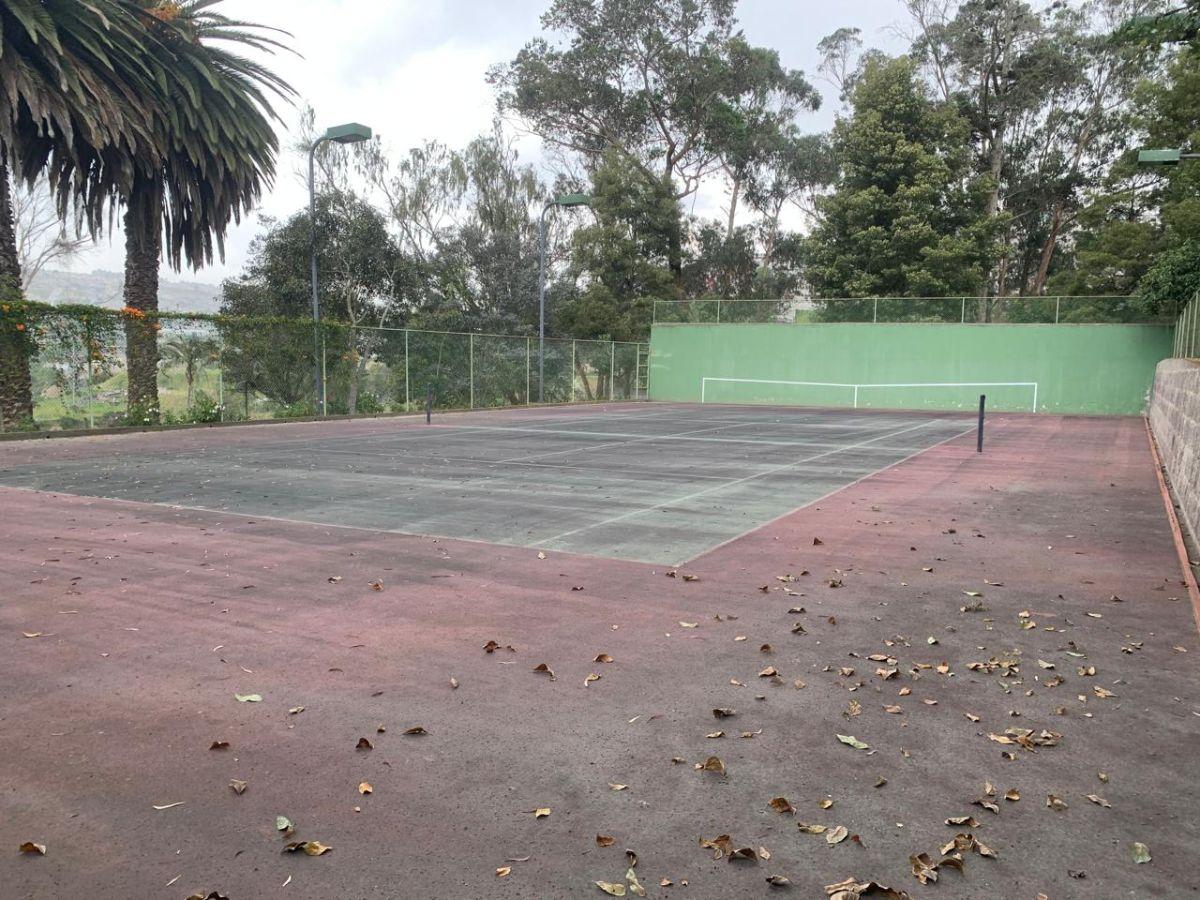 Venta Terreno de 12000 m² Para Proyecto Inmobiliario (Mitad del Mundo) — imagen 7