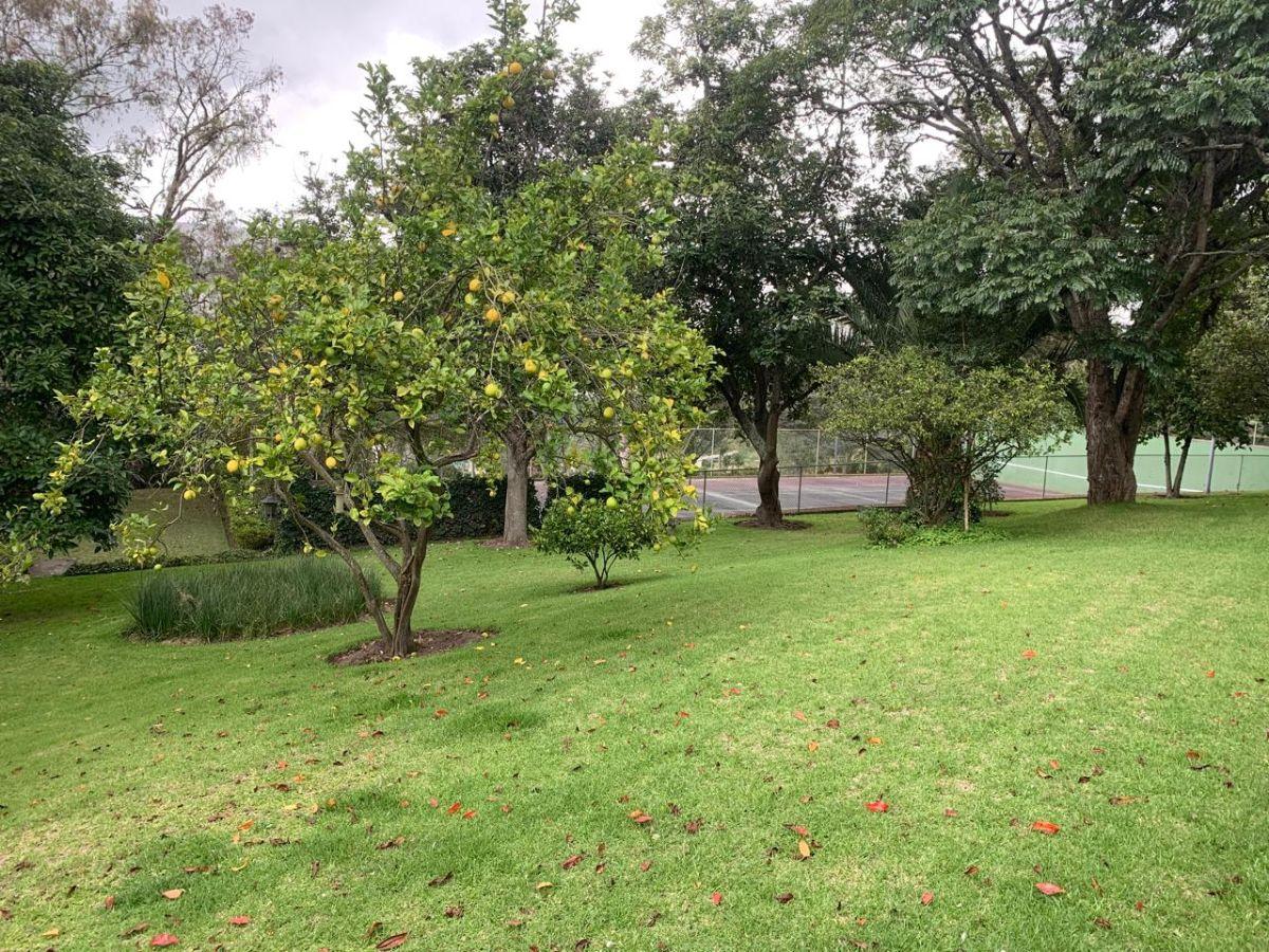 Venta Terreno de 12000 m² Para Proyecto Inmobiliario (Mitad del Mundo) — imagen 6