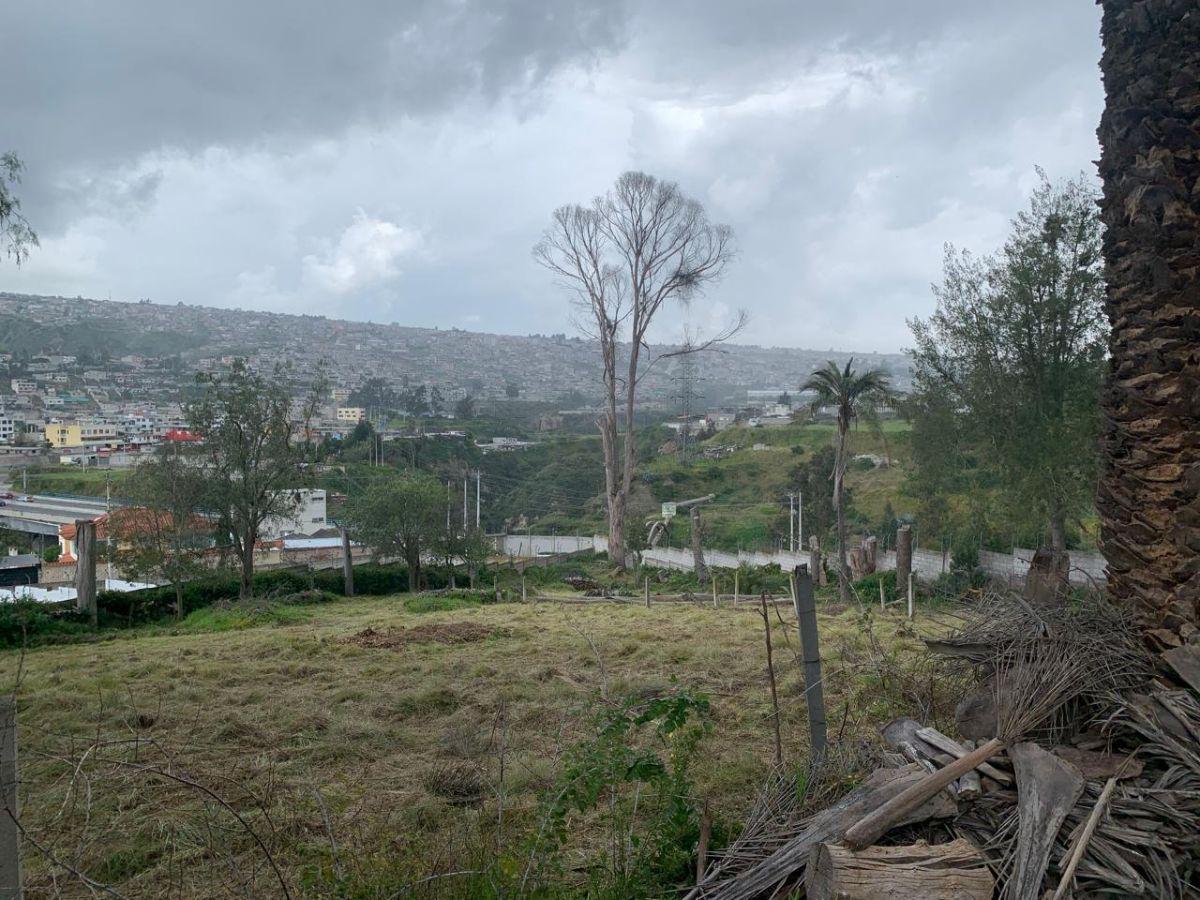 Venta Terreno de 12000 m² Para Proyecto Inmobiliario (Mitad del Mundo) — imagen 4