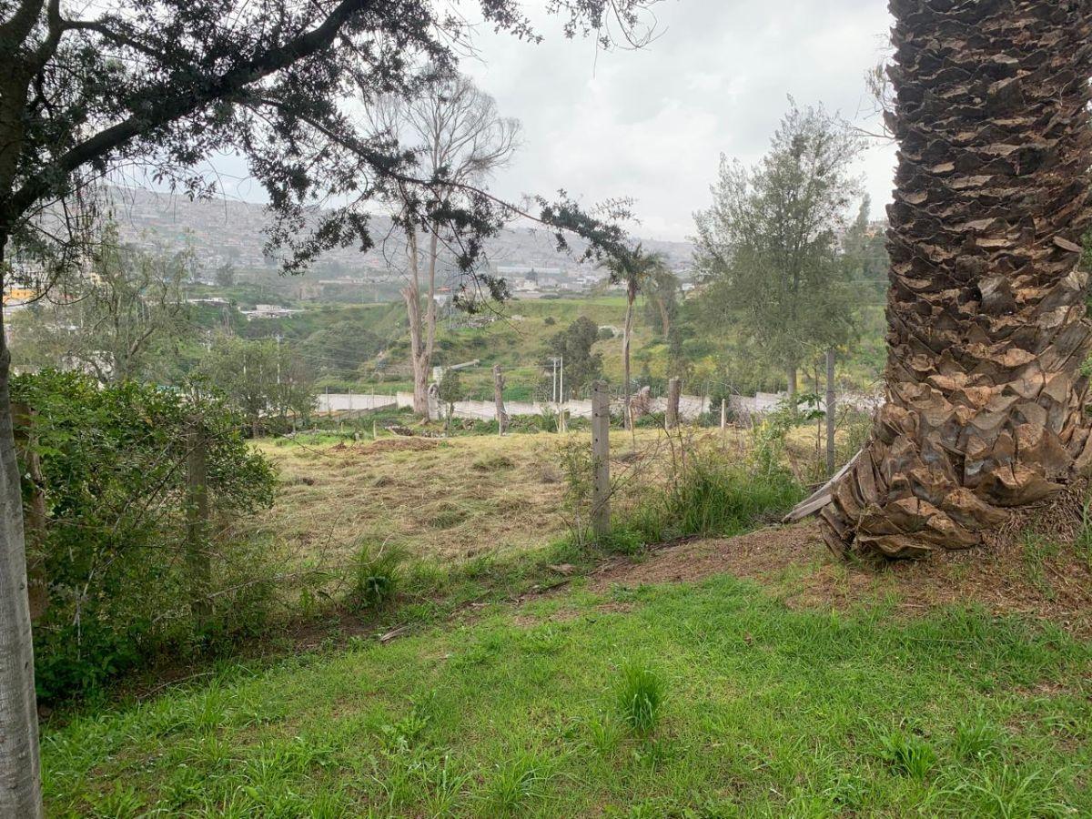 Venta Terreno de 12000 m² Para Proyecto Inmobiliario (Mitad del Mundo) — imagen 3