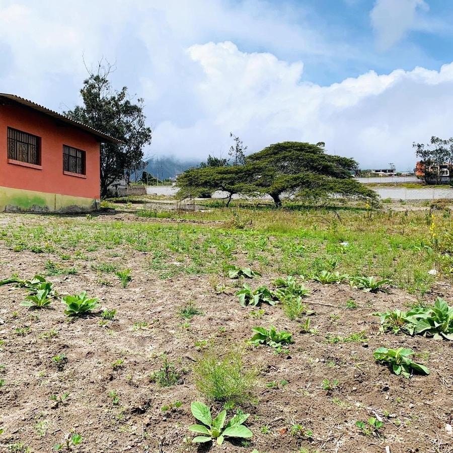 En Venta Terreno de 4.700 m² + Casa de 127 m² en San Antonio de Pichincha — imagen 8