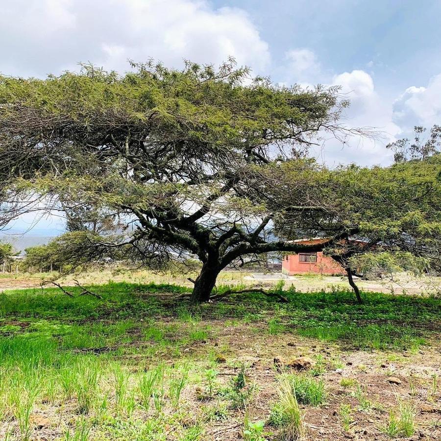 En Venta Terreno de 4.700 m² + Casa de 127 m² en San Antonio de Pichincha — imagen 6