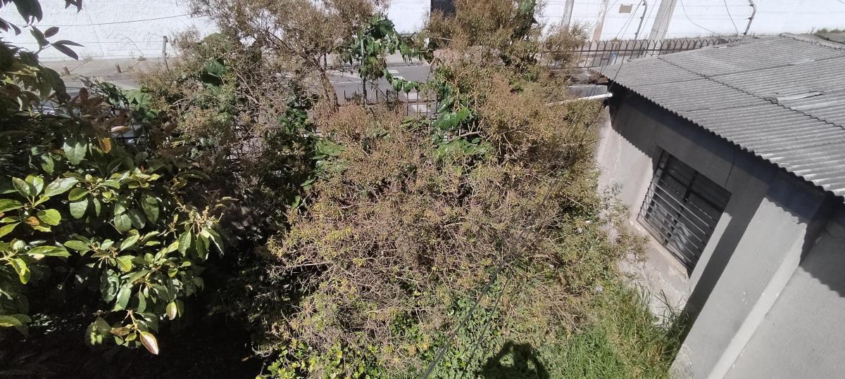 Vendo Terreno de 621 m en El Sector de La Pradera — imagen 3
