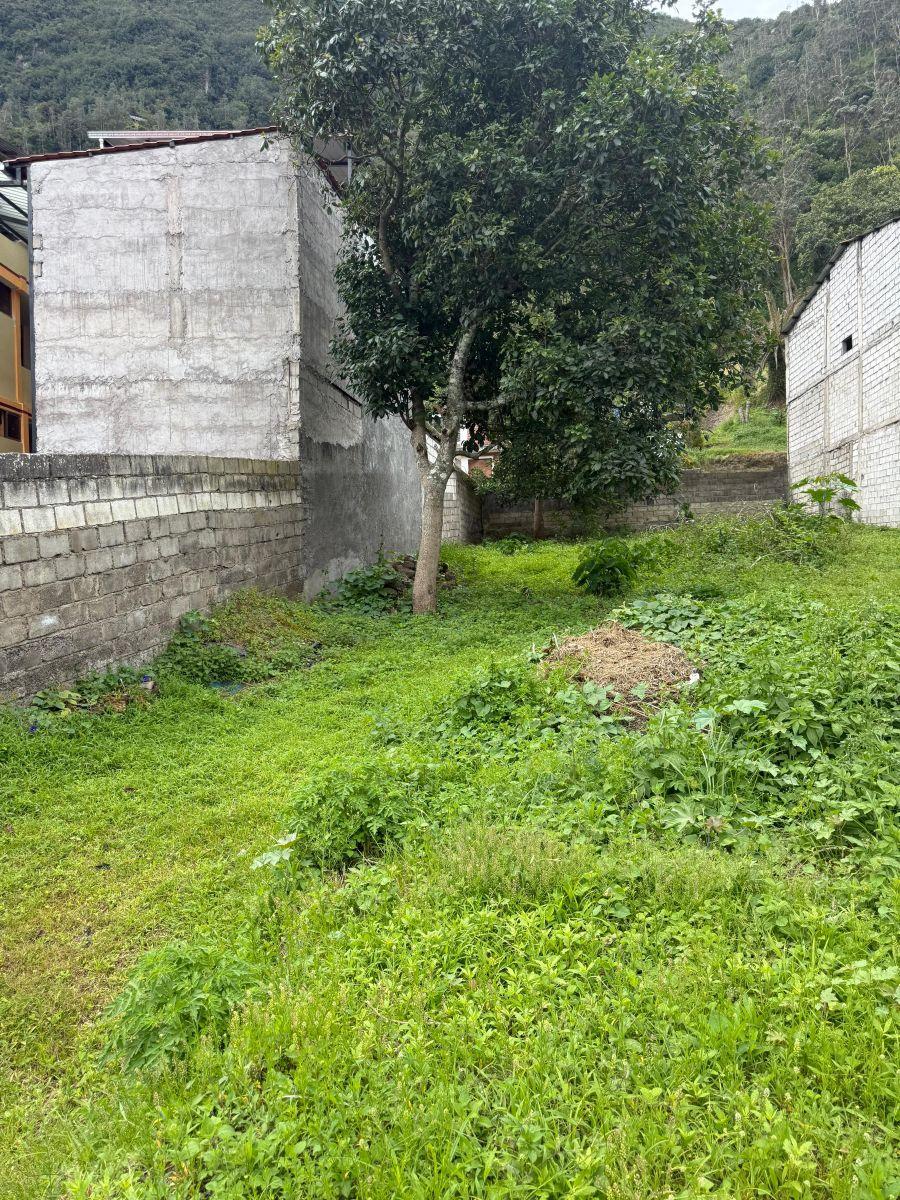Terreno de 468 m² en Venta en Centro de Baños, Tungurahua — imagen 6