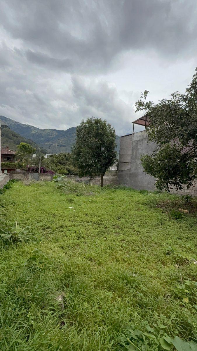 Terreno de 468 m² en Venta en Centro de Baños, Tungurahua — imagen 5
