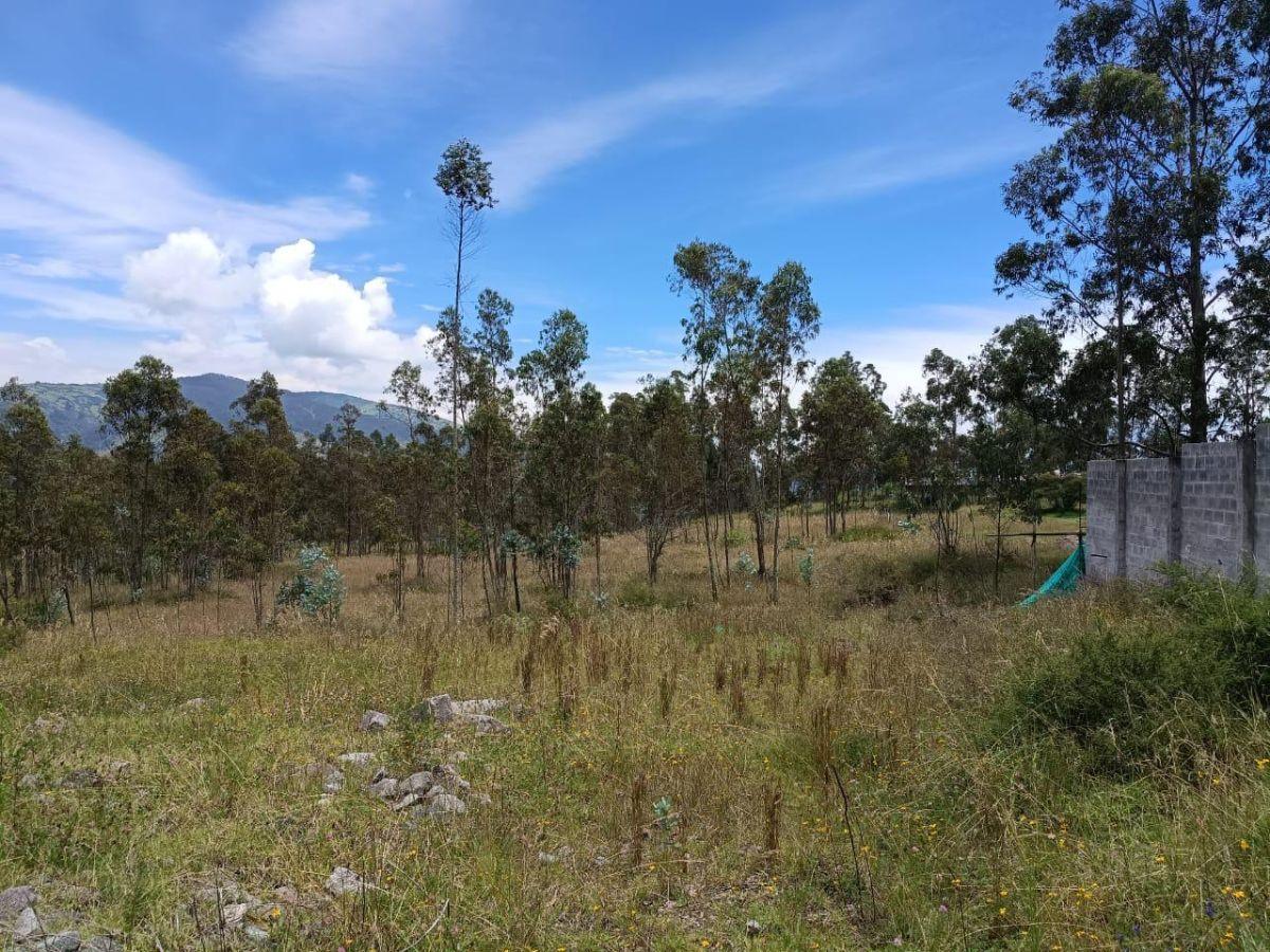 Lindo Terreno en Santa Martha de Cuba, Carchi — imagen 5