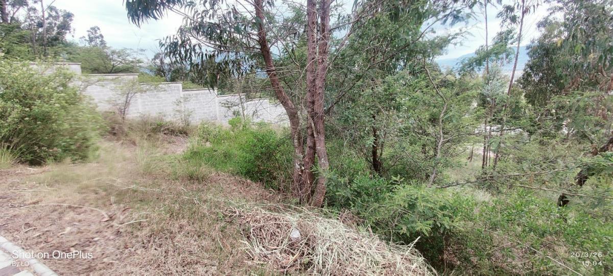 Vendo Exclusivo Terreno en Urbanización Rumikuna – Collaquí, Tumbaco — imagen 9