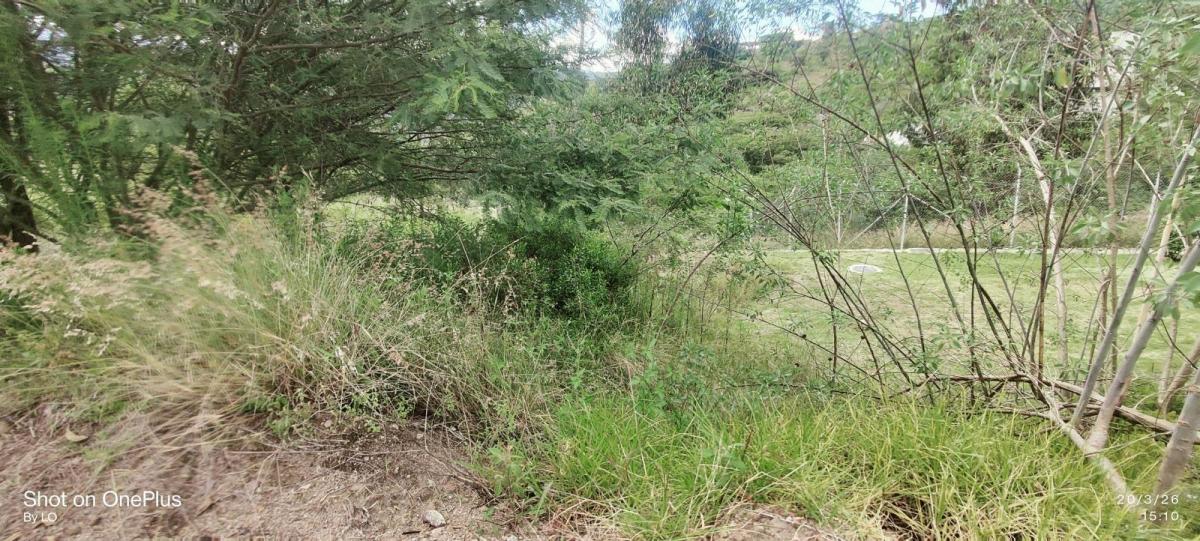 Vendo Exclusivo Terreno en Urbanización Rumikuna – Collaquí, Tumbaco — imagen 8