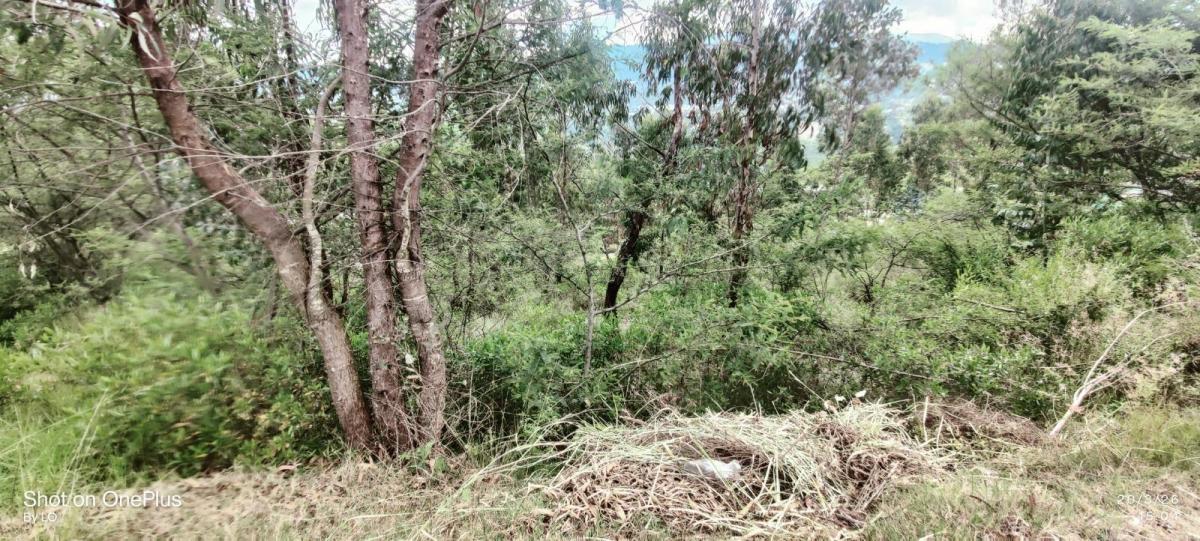 Vendo Exclusivo Terreno en Urbanización Rumikuna – Collaquí, Tumbaco — imagen 7