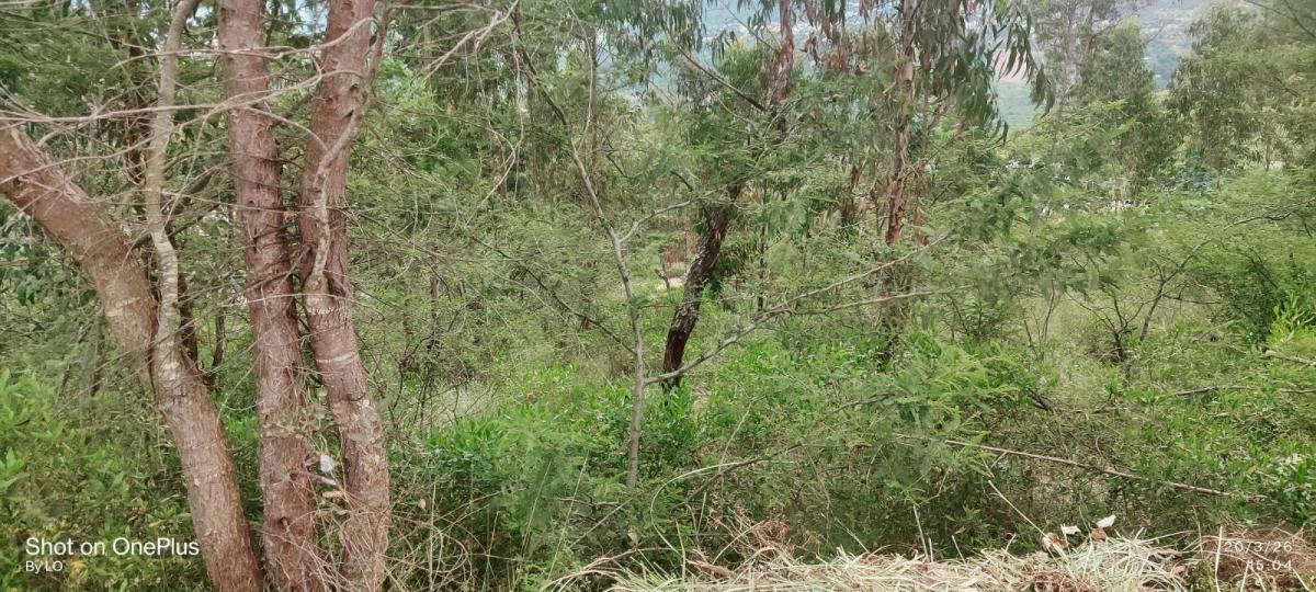 Vendo Exclusivo Terreno en Urbanización Rumikuna – Collaquí, Tumbaco — imagen 6
