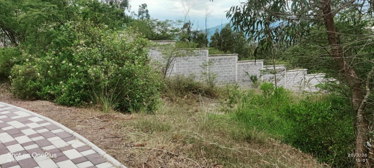 Vendo Exclusivo Terreno en Urbanización Rumikuna – Collaquí, Tumbaco — imagen 5