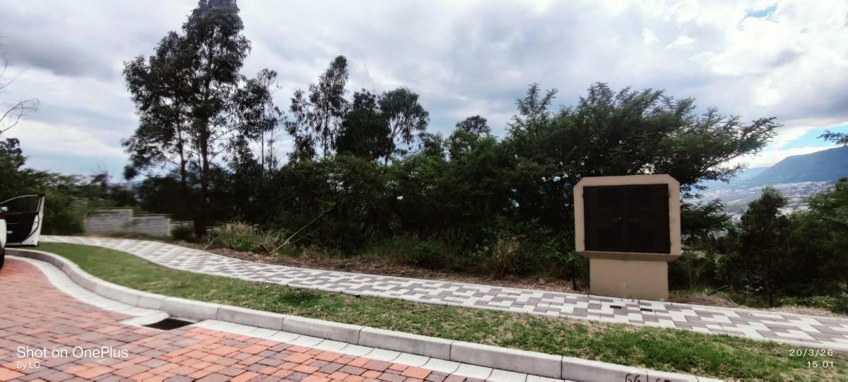 Vendo Exclusivo Terreno en Urbanización Rumikuna – Collaquí, Tumbaco — imagen 3