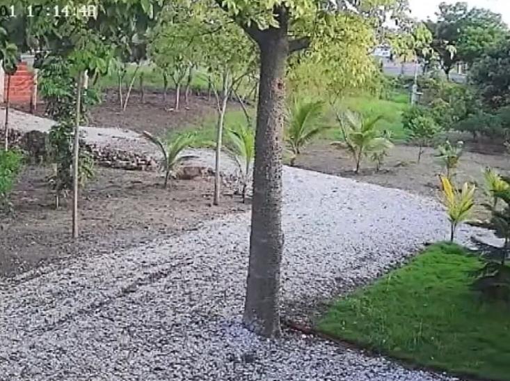 Vía a La Costa, Terreno de Oportunidad Al Filo de La Carretera Km 69 Despues del Peaje, Guayas — imagen 10