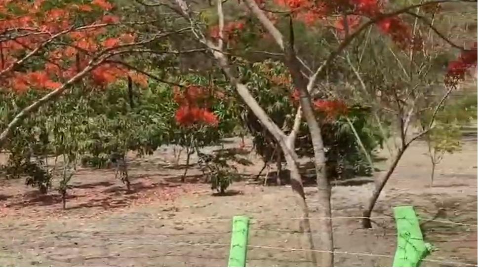 Vía a La Costa, Terreno de Oportunidad Al Filo de La Carretera Km 69 Despues del Peaje, Guayas — imagen 9