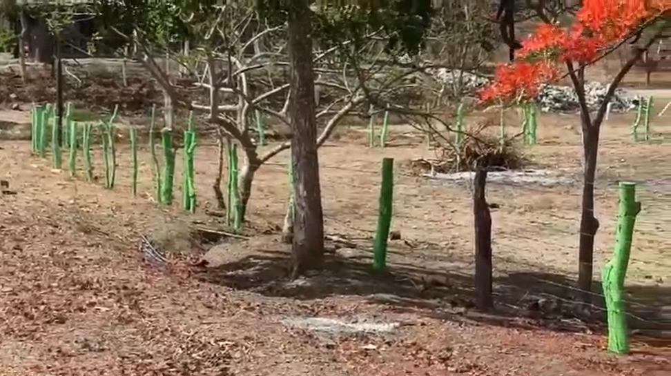 Vía a La Costa, Terreno de Oportunidad Al Filo de La Carretera Km 69 Despues del Peaje, Guayas — imagen 8