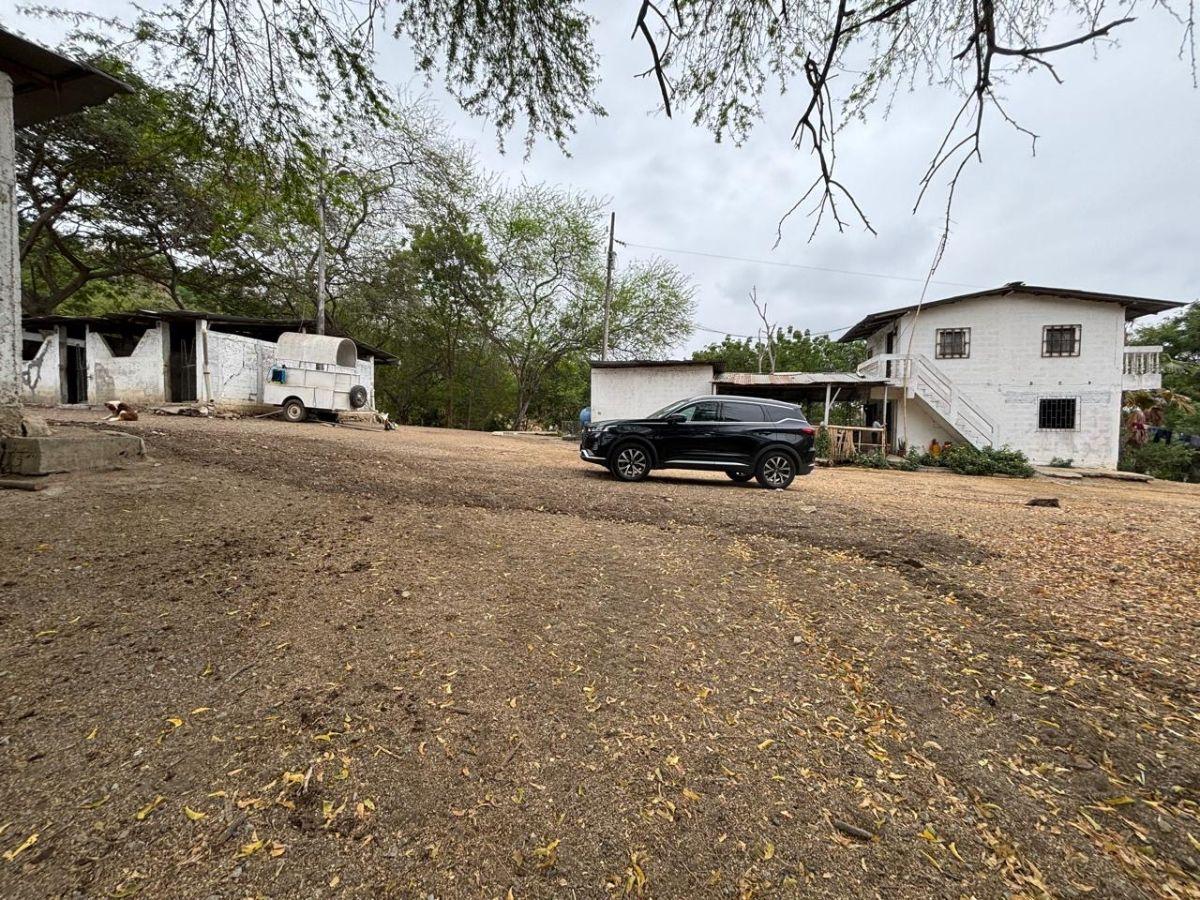 Vendo Terreno (Finca) Via a La Costa Km 40 Pasando Consuelo, Excelente Ubicación Frente a Via 409 m, Guayas — imagen 7