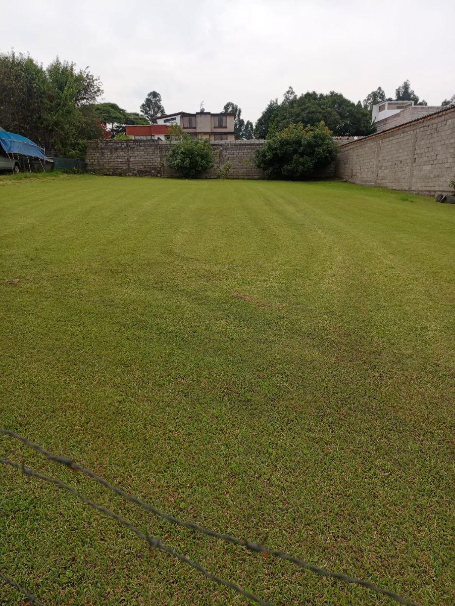 Vendo Terreno de $711 m Valle de Los Chillos ️ — imagen 10