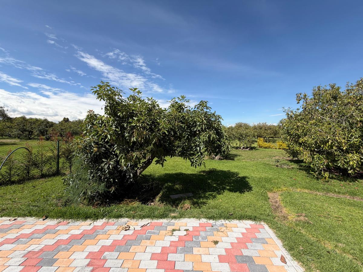 Terreno de Venta en Puembo — imagen 8