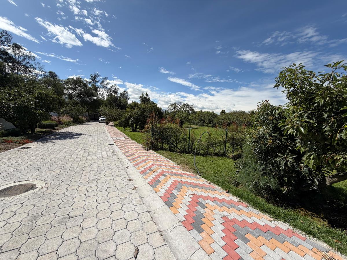 Terreno de Venta en Puembo — imagen 7