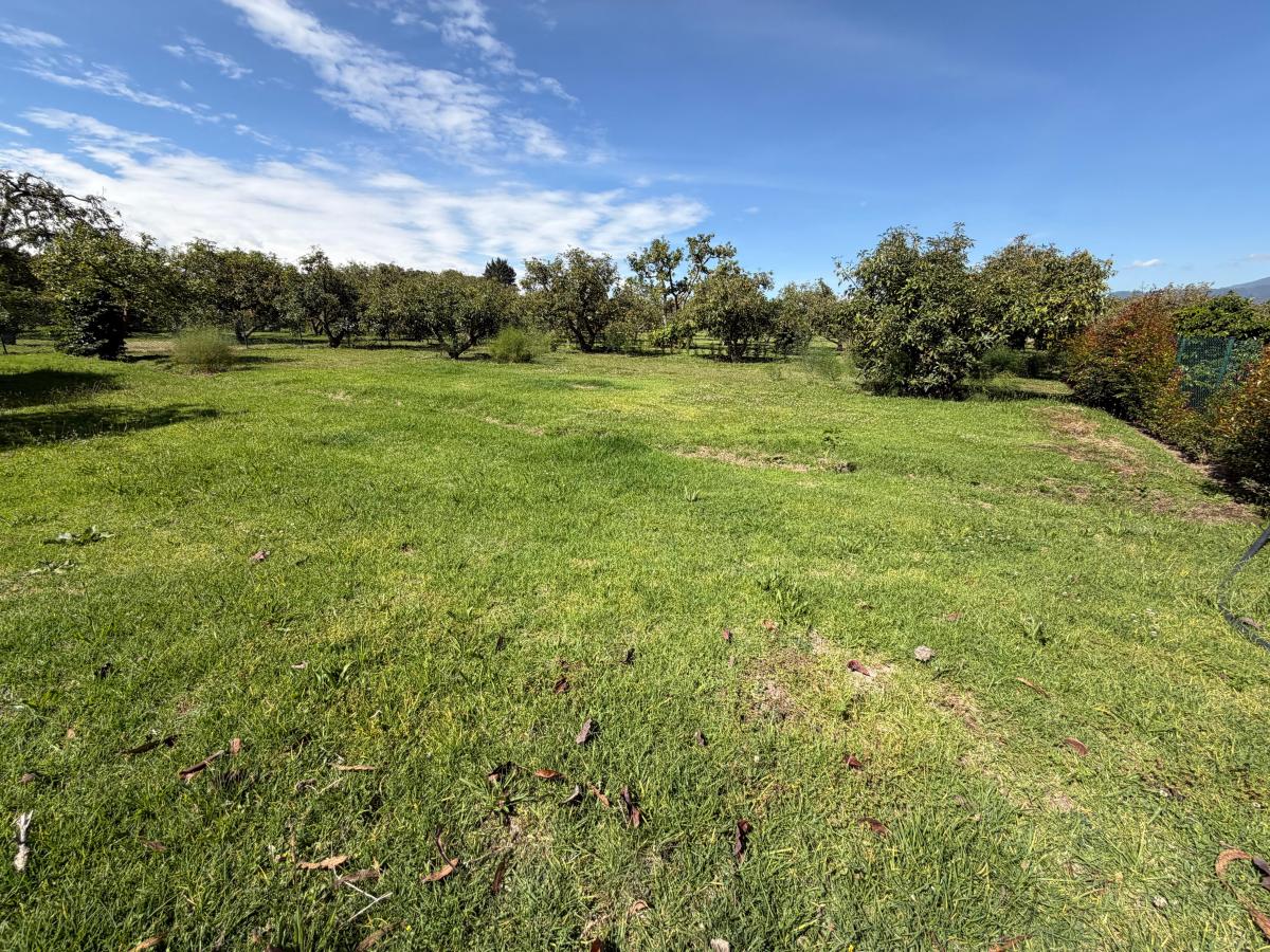 Terreno de Venta en Puembo — imagen 6