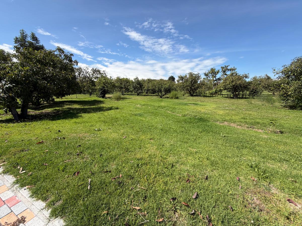 Terreno de Venta en Puembo — imagen 5