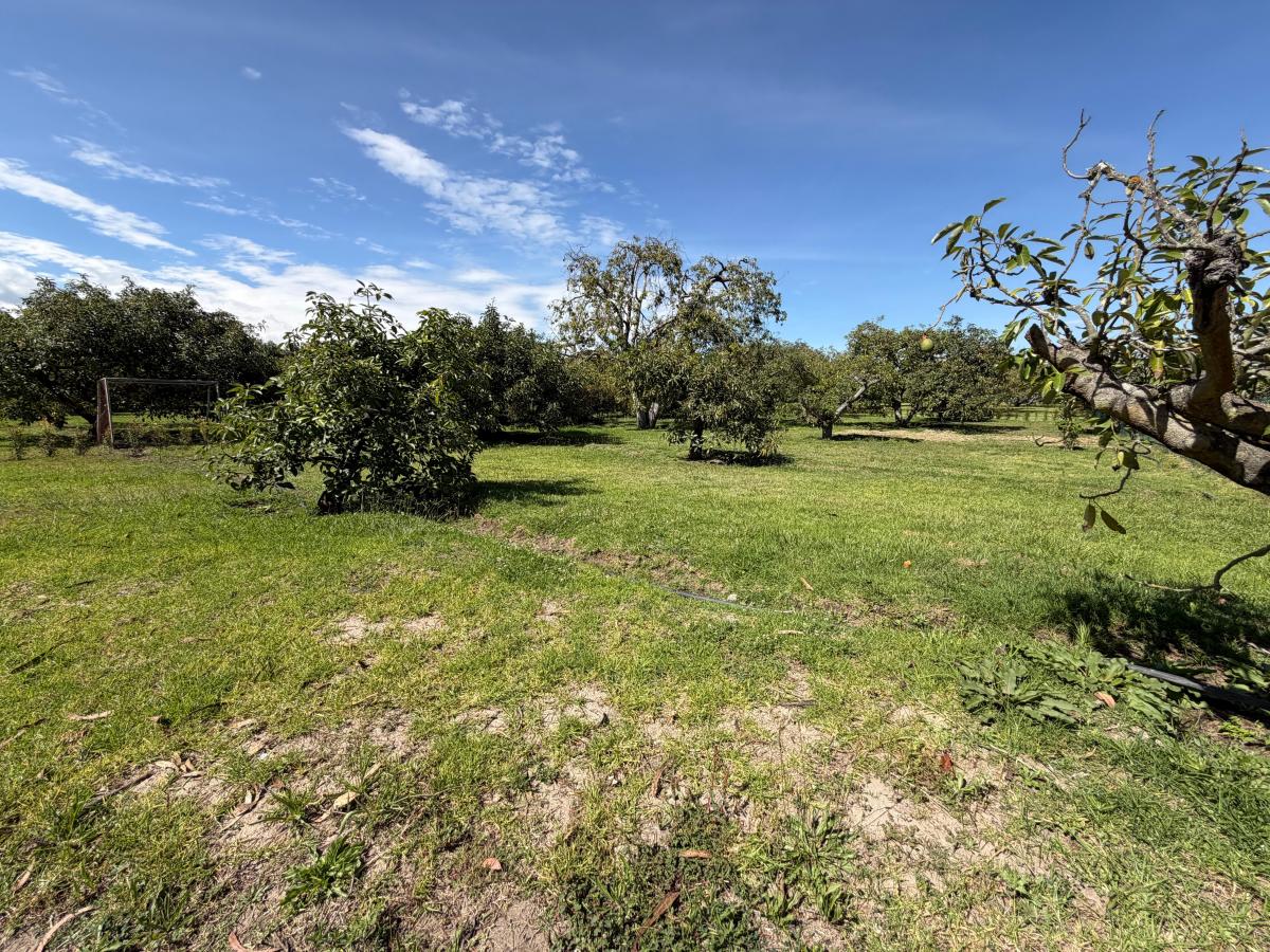 Terreno de Venta en Puembo — imagen 4