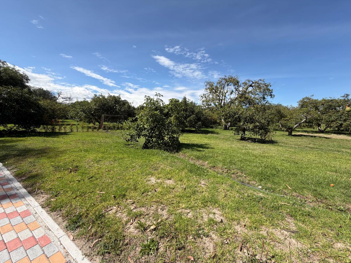 Terreno de Venta en Puembo — imagen 3