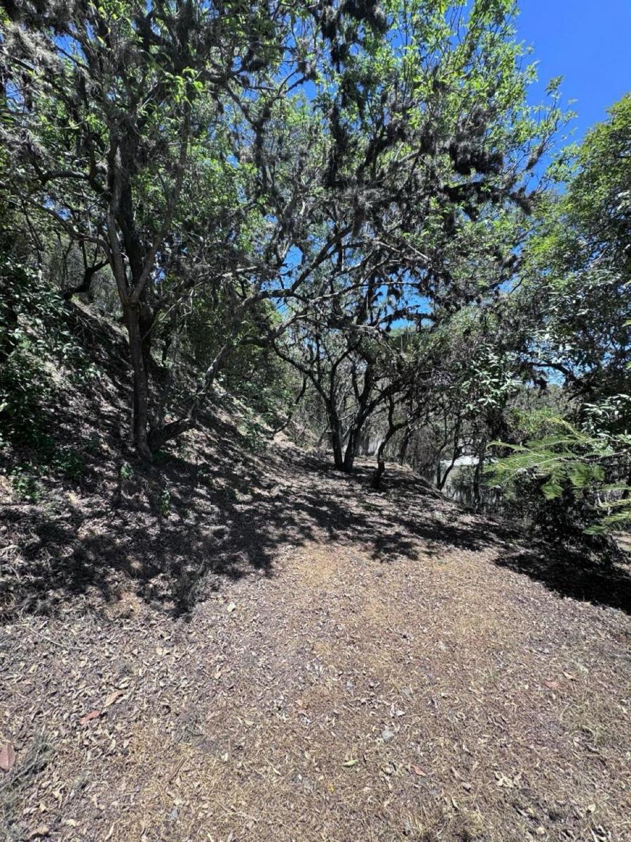 Terreno - Cumbayá — imagen 10