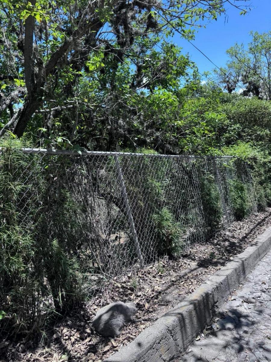Terreno - Cumbayá — imagen 9