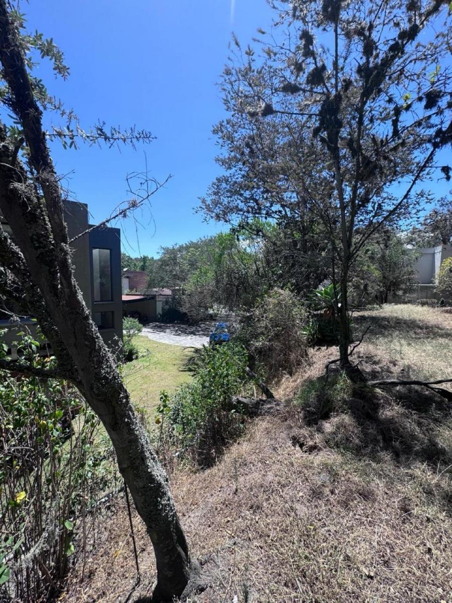 Terreno - Cumbayá — imagen 7