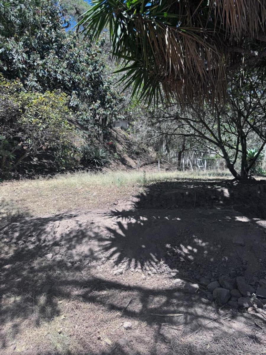 Terreno - Cumbayá — imagen 5