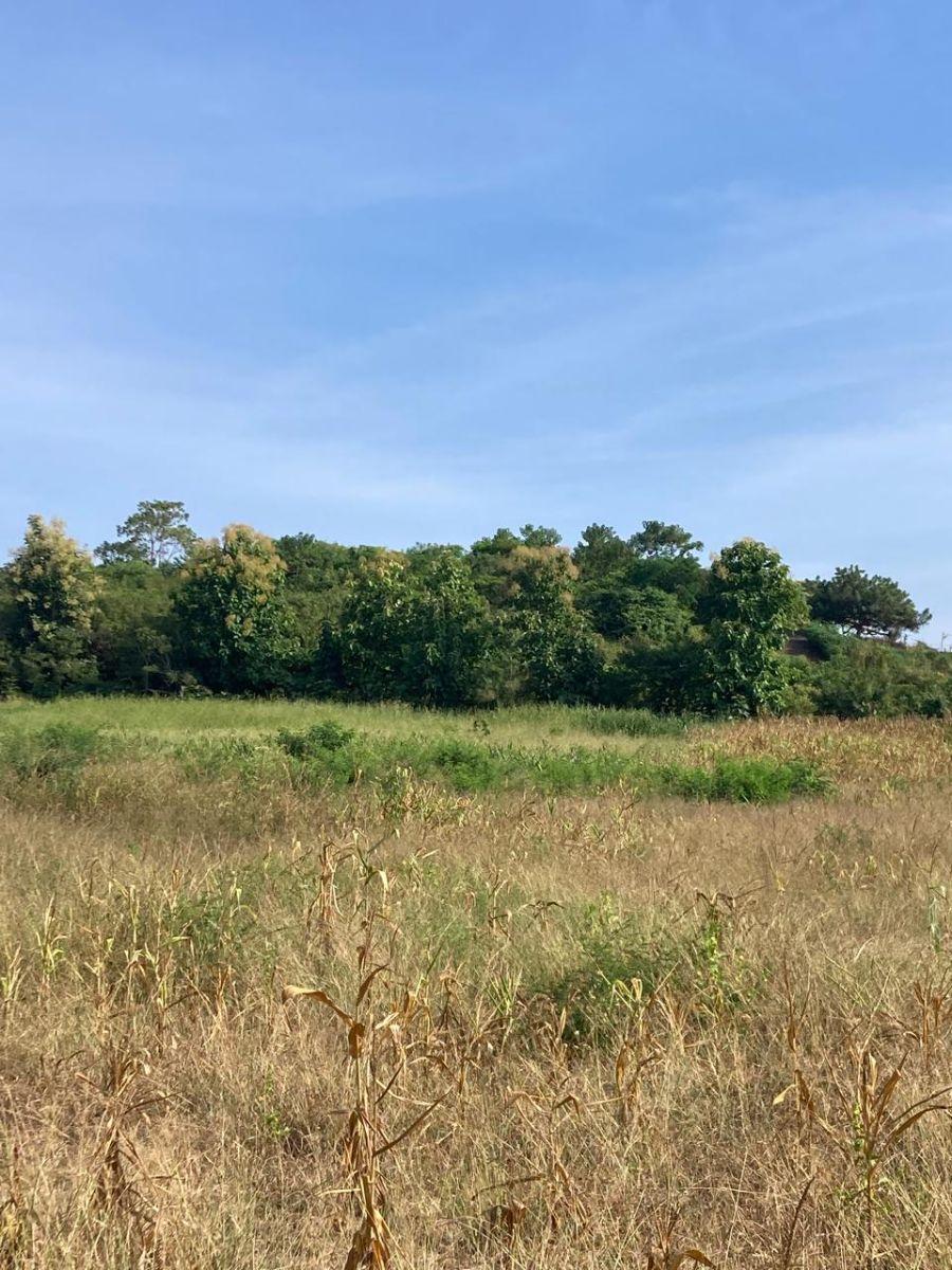 Se Vende 7.8has Km49 Vía a La Costa - W. Sánchez, Guayas — imagen 9