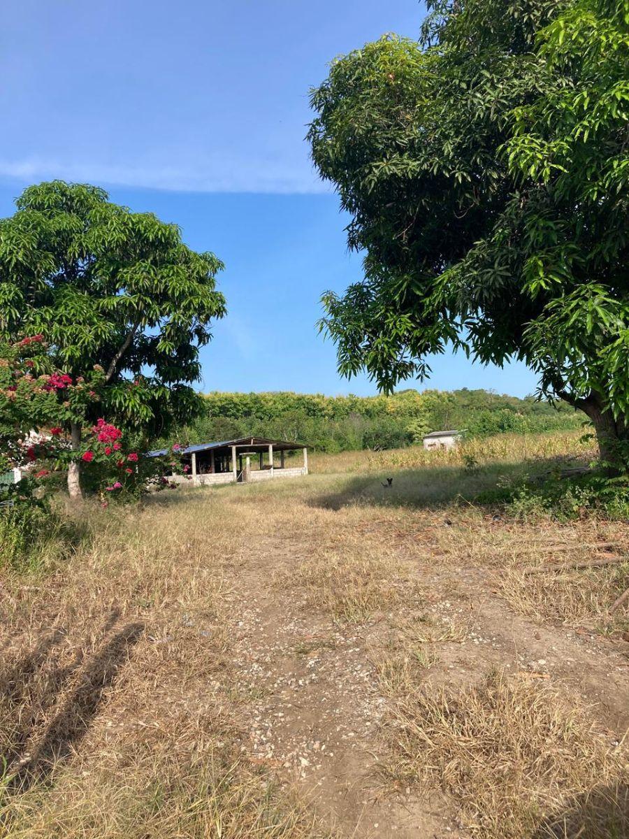 Se Vende 7.8has Km49 Vía a La Costa - W. Sánchez, Guayas — imagen 3