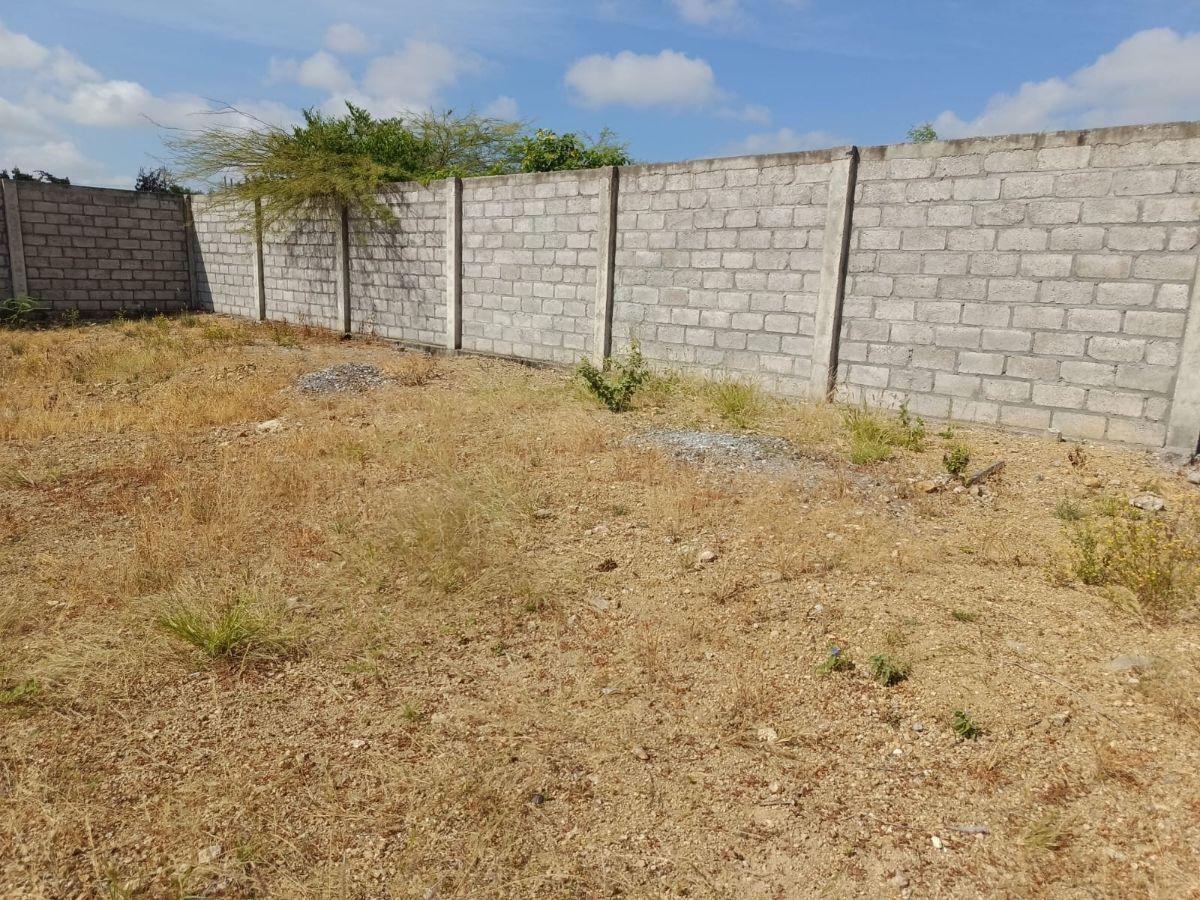 Se Vende Terreno Esquinero de 500 m² - W. Sánchez — imagen 5