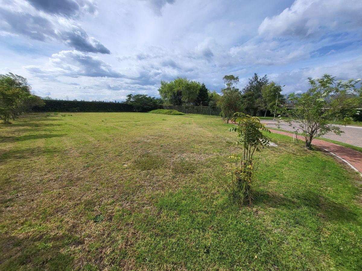 Hermoso Terreno Urbanizacion Palermo Puembo — imagen 4