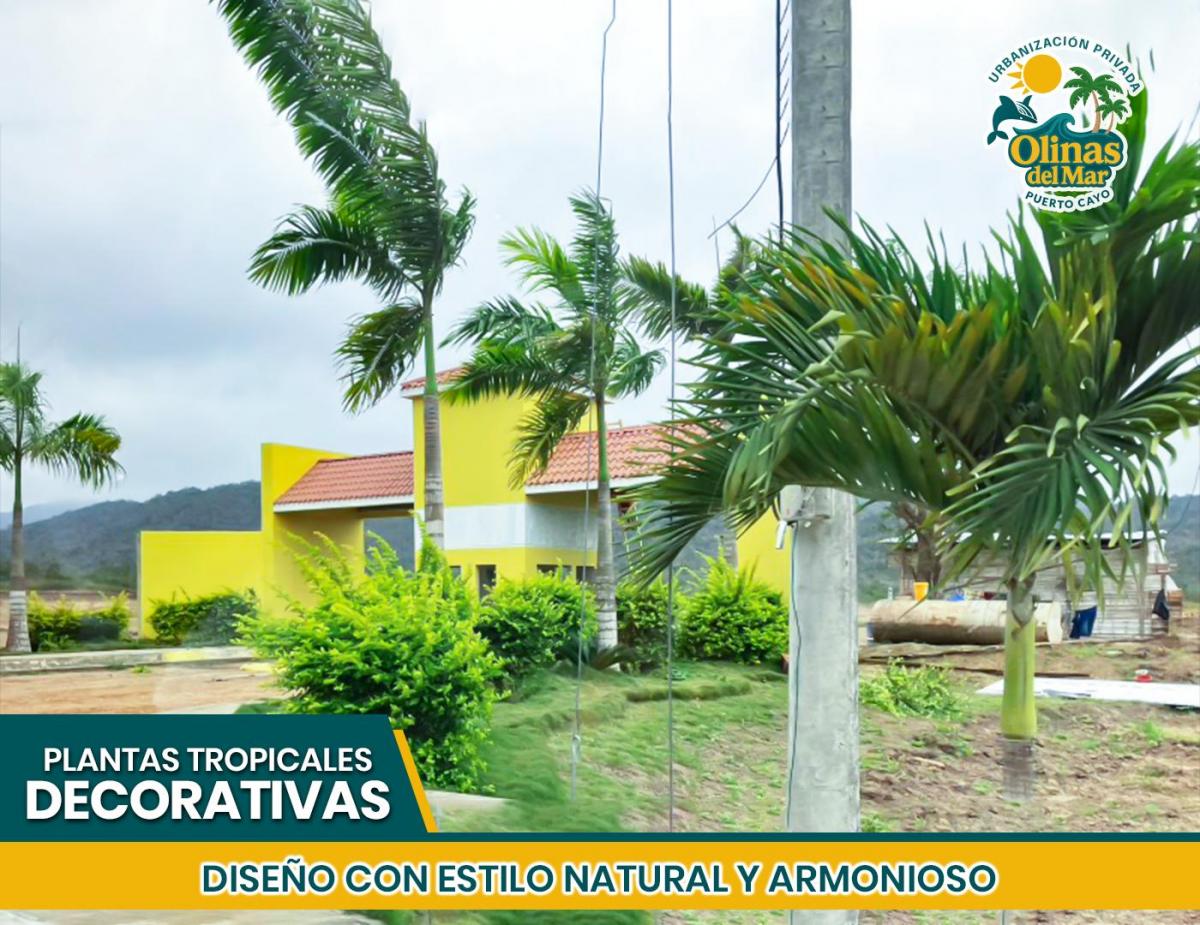 ¡Tu Terreno en Puerto Cayo! Olinas del Mar - Crédito Directo, Manabí — imagen 6