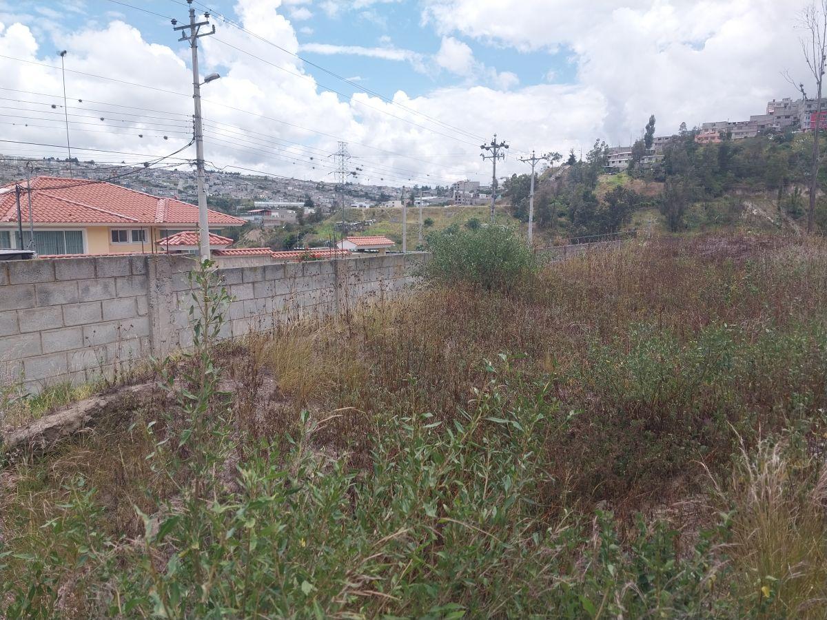 Vendo Hermoso Terreno en Pomasqui, Junto Al Colegio Francés, Totalmente Plano, Urbanizacion Privada — imagen 5