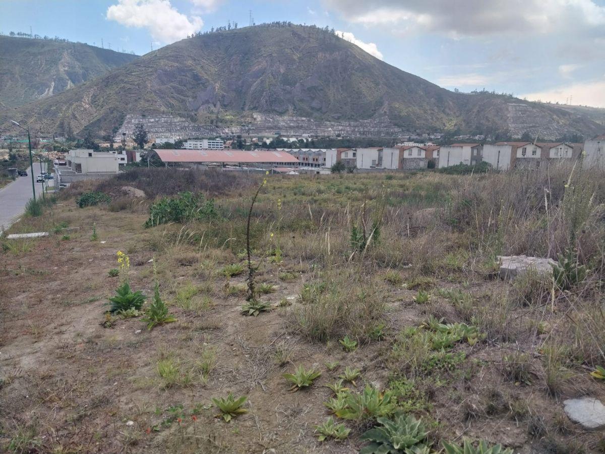 Vendo Terreno Plano en Urbanizacion Privada, Sector de Pomasqui con Todos Los Servicios Básicos. Provincia de Pichincha — imagen 10
