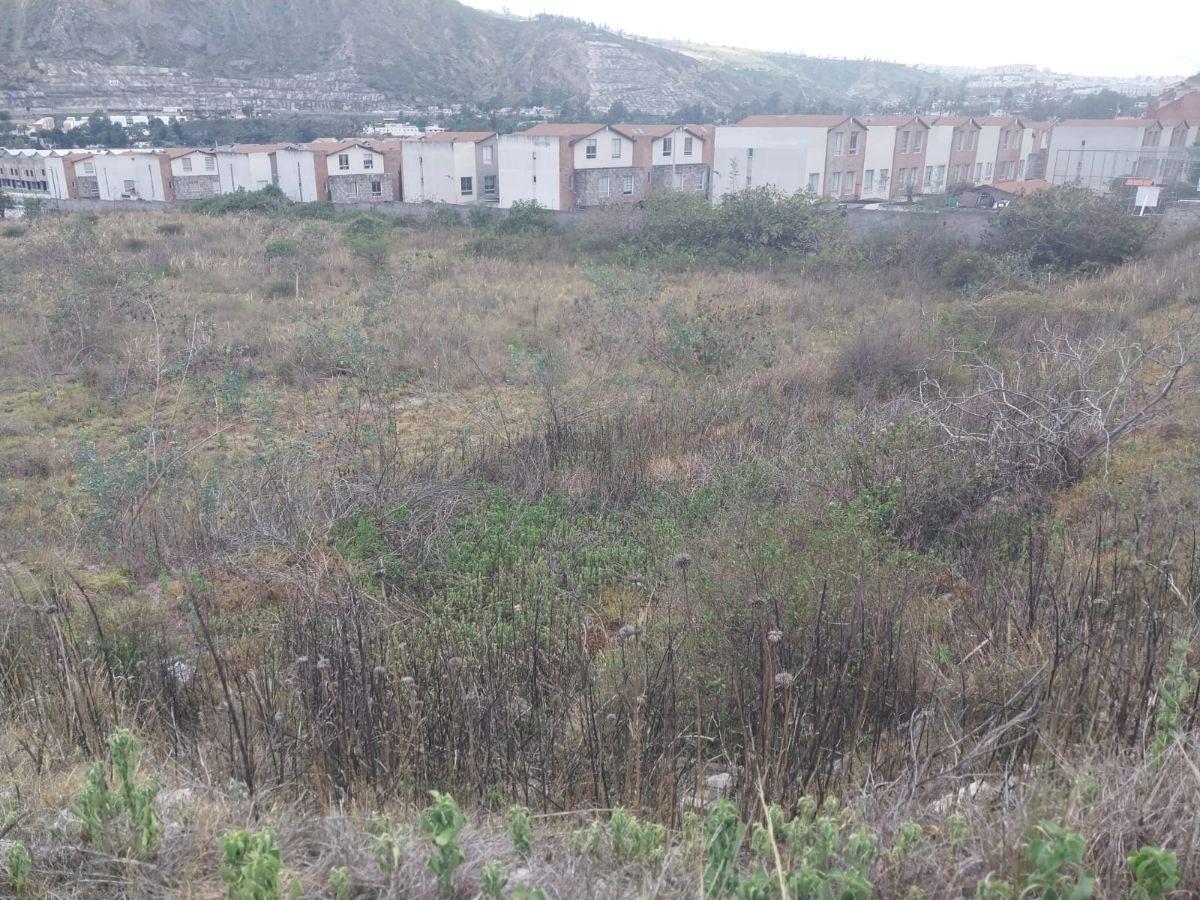 Vendo Terreno Plano en Urbanizacion Privada, Sector de Pomasqui con Todos Los Servicios Básicos. Provincia de Pichincha — imagen 8