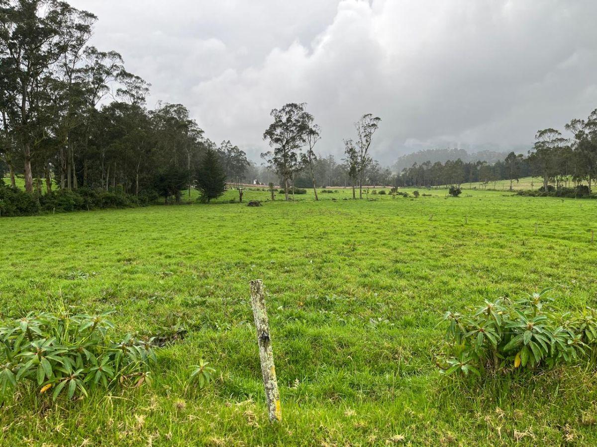Vendo - 5 Hermosos Lotes de Terreno - en Machachi — imagen 6