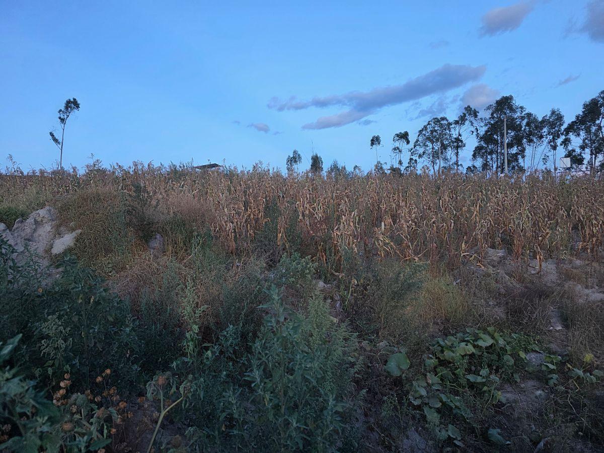 Venta Lotes de de Terreno Calderón Cerca Al Parque Metropolitano - Planta de Agua Calderón — imagen 5