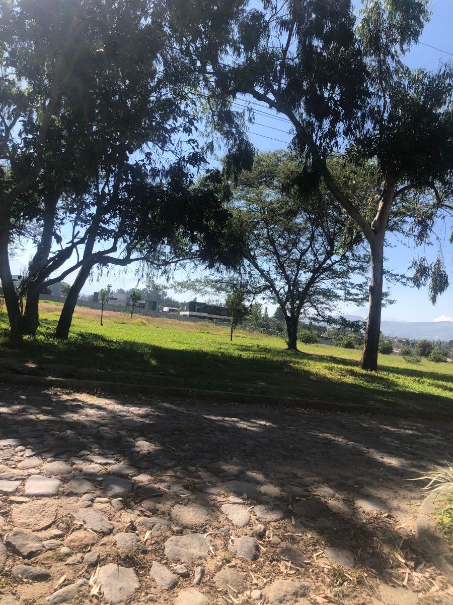 Venta Terreno Plano de 2526 m en Urbanización Cerrada — imagen 8