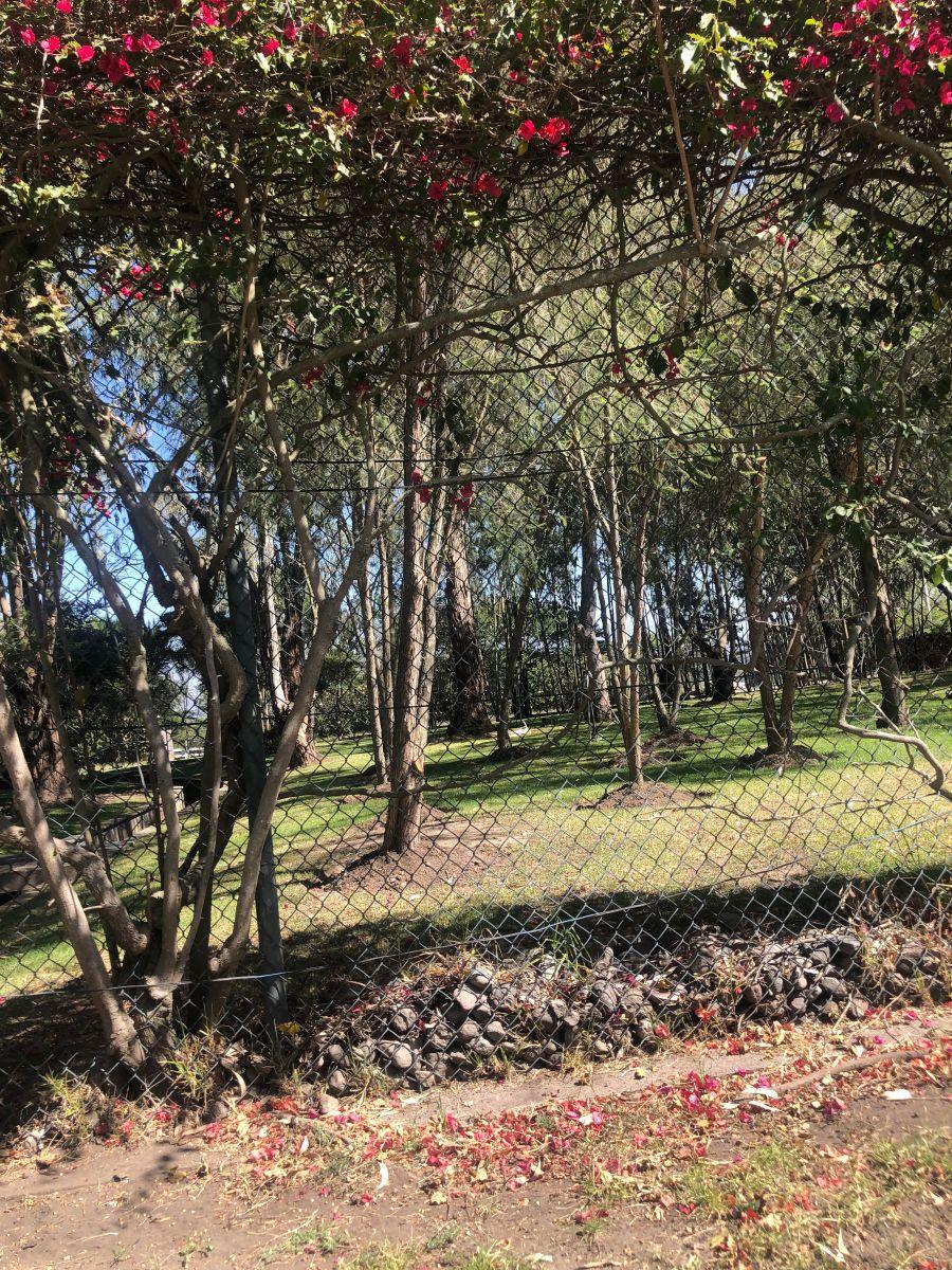 Venta Terreno Plano de 2526 m en Urbanización Cerrada — imagen 7